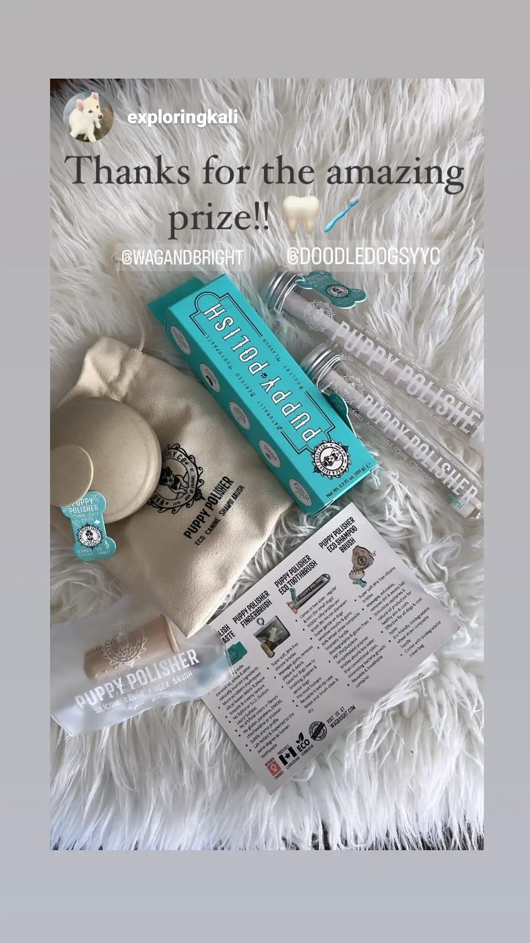 Puppy Polisher Eco Shampoo Brush