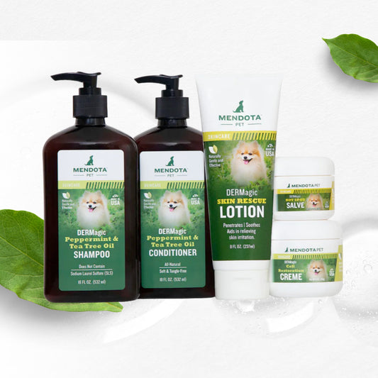 The DERMagic Liquid System: The Complete Natural Answer for Dogs Who Have Tried Everything For Alopecia