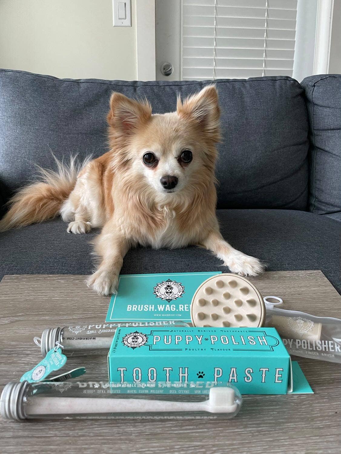 Puppy Polisher Eco Shampoo Brush