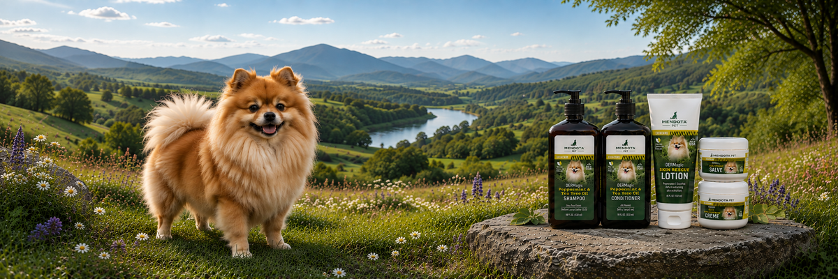 DERMagic Pets | Europe's Natural & Organic Pet Skincare Store ...
